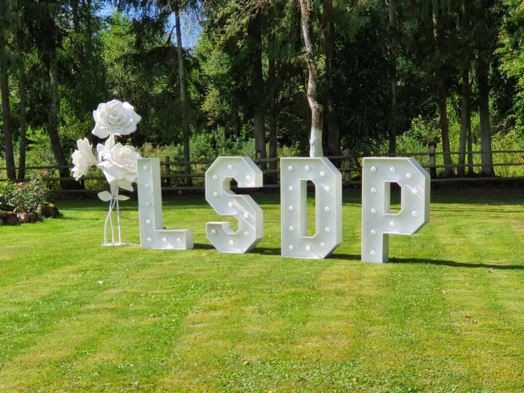 Lietuvos socialdemokratų LSDP ženklas